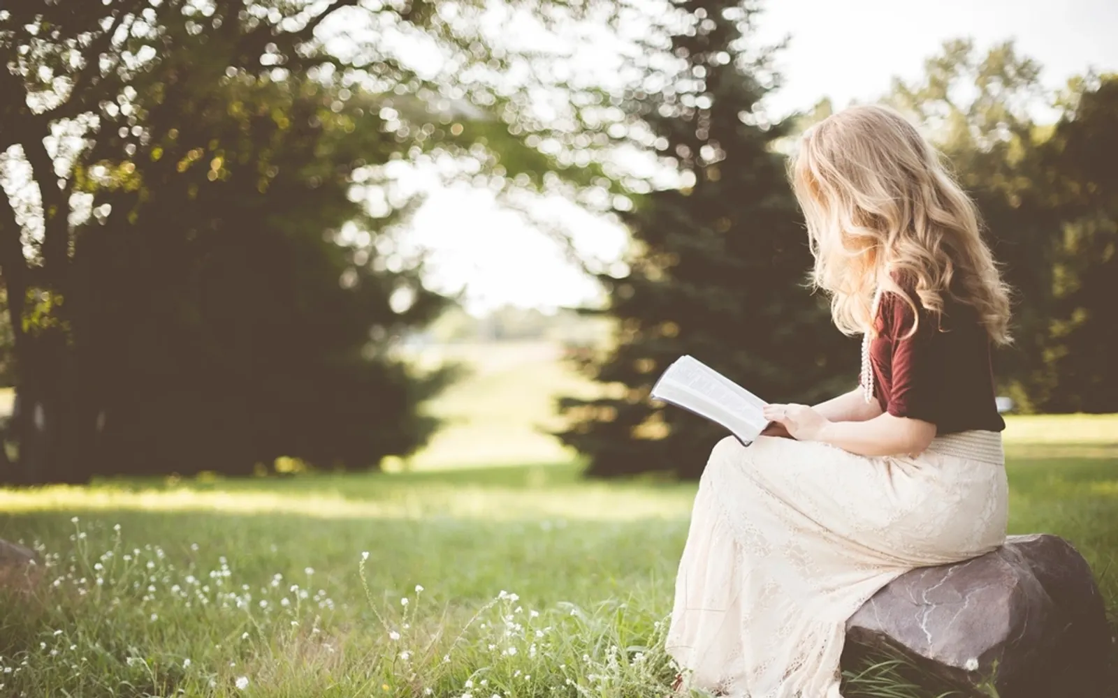 A woman reading a book on the grass in a sunlit park