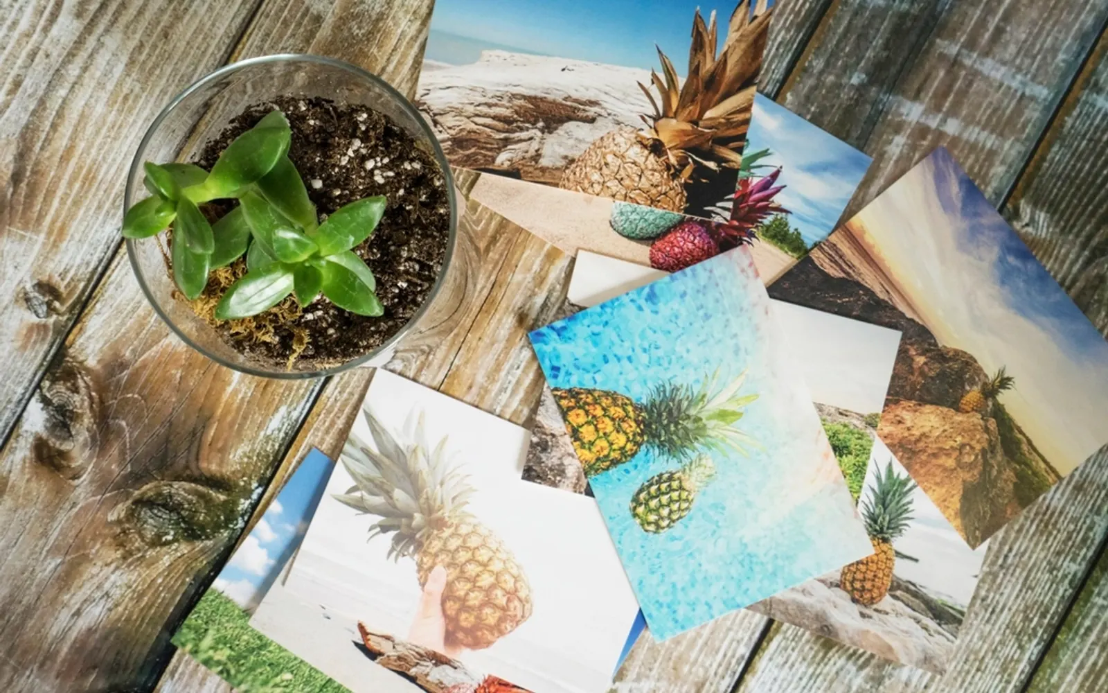 Printed photos scattered across a wooden table next to a small plant